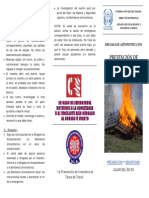 Prevencion de Incendios PDF