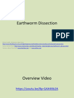 Lesson 8 - Earthworm Dissection