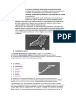 Bacterias Intrahospitalarias Incompleto