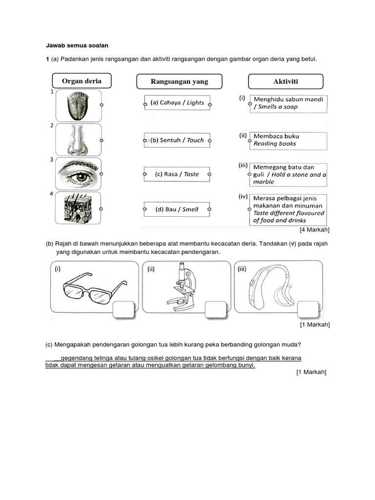 Latihan Sains 1 Pdf