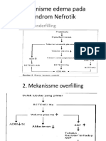 Mekanisme Edema Pada Sindrom Nefrotik