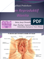 Patologi Anatomi PR1