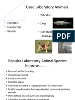 Lab Animals 