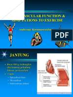 Cardiovascular Function _ Adaptation