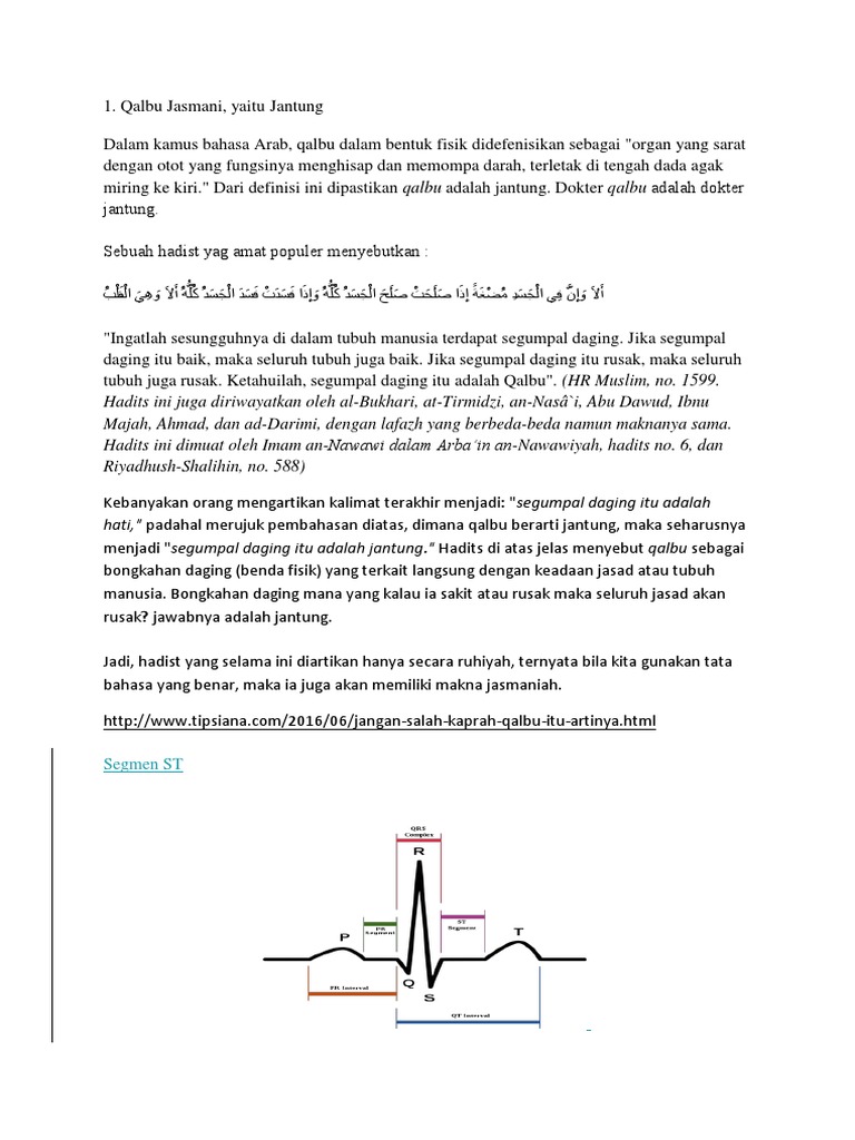  Organ  Tubuh  Bahasa  Arab Blog Kesehatan Anda