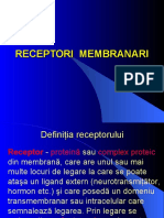 Recep06 PDF