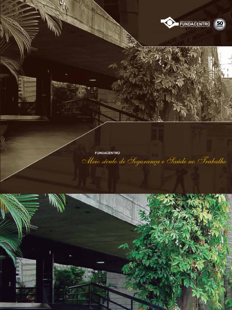 50 Anos Fundacentro Portal PDF | PDF