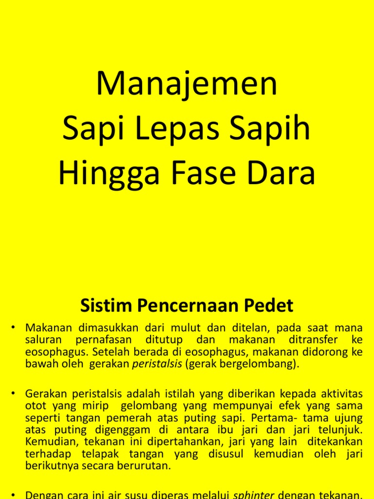 Mtp Ppt 2b Pemeliharaan Pedet Dara