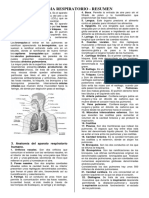 Sistema Respiratorio humano basico