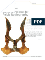 Tips&TechniquesforPelvicRadiography (CB, 2009)