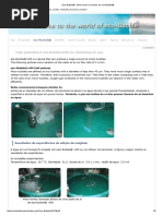 Eco-Bubble® - Bem-vindo ao mundo do eco-Bubble®