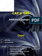 2 Curs 2 Topografie Cap Si Gat