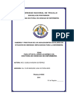Tesis Doctoral Gudelia Nájera Gutiérrez PDF