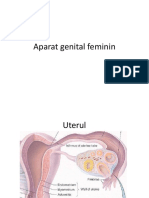 Aparat Genital Feminin