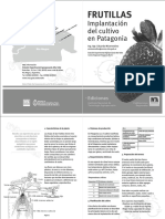 Script-Tmp-Inta Frutillas Patagonia PDF