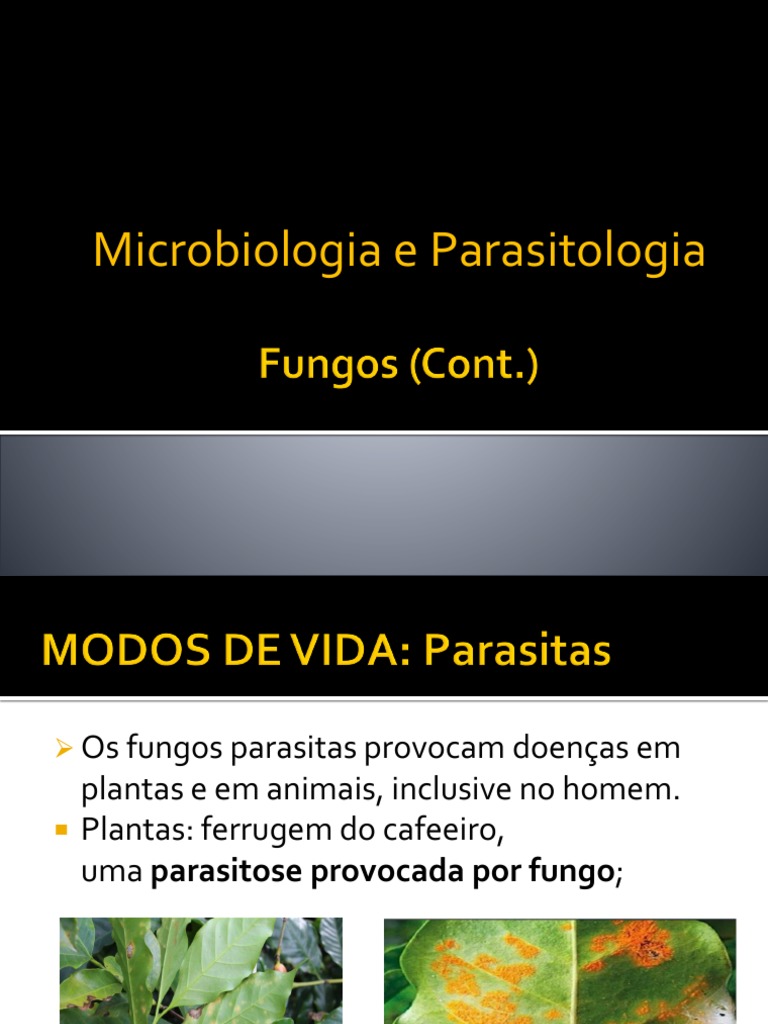 Parazita ellenes készítmények - Egészség - Kisemlős (rágcsál