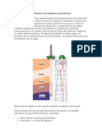 Aplicación de Registros Petrofísicos