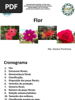 aula flor