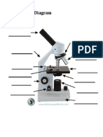 microscope diagram - unlabeled