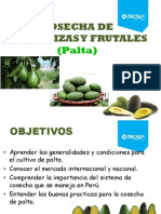 Cosecha Palta