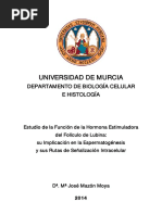 Mª José Mazón Moya.pdf