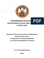 M José Mazón Moya PDF