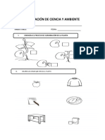 Evaluación de Ciencia y Ambiente