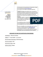 2003 Cablages de Base Des Moteurs Asynchrones PDF