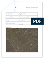 Prueba Inyectividad Copihue-2