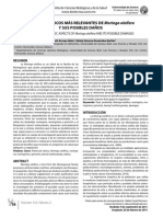 Toxicidad de Moringa Oleifera PDF