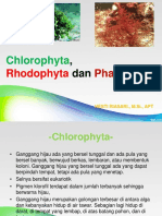 Farmasi Bahari3. Chloro, Rhodo, Phae