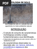 Horizontes Do Solo