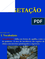 Vegetação.ppt