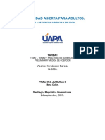 Tema 1, Tema 2 y Practicas en Audiencias Preliminar y Medida de Coercion