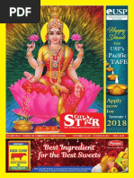 Download CITY STAR 2017 Diwali Edition  by city star newspaper SN360519345 doc pdf