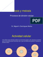 Mitosis y Meiosis PDF