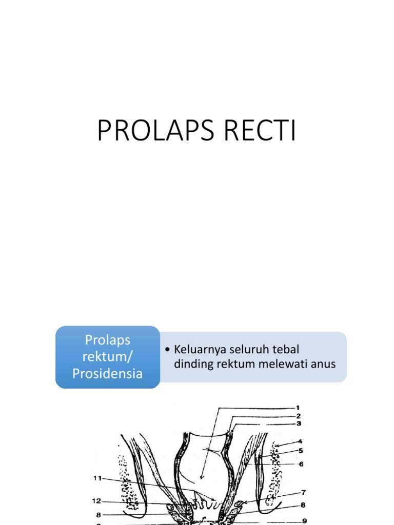 PENGOBATAN DAN PENANGANAN PROLAPS REKTUM | PDF