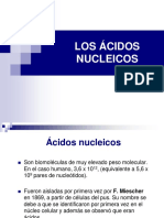 5-ÁCIDOS NUCLEICOS.pdf