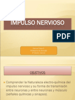 Impulso Nervioso (1)