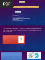 seminario 4 biologia