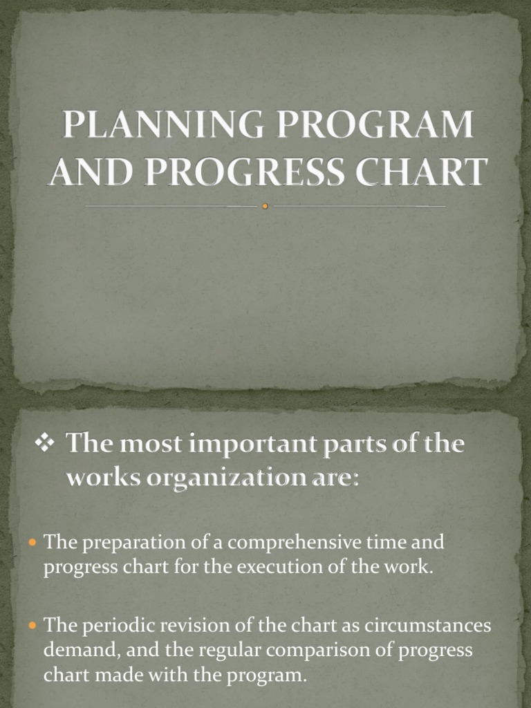 Planning Program and Progress Chart | PDF | Business | Economies