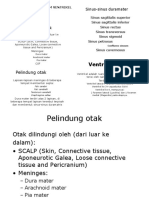 Sistem Saraf-Meninges Dan Lcs1