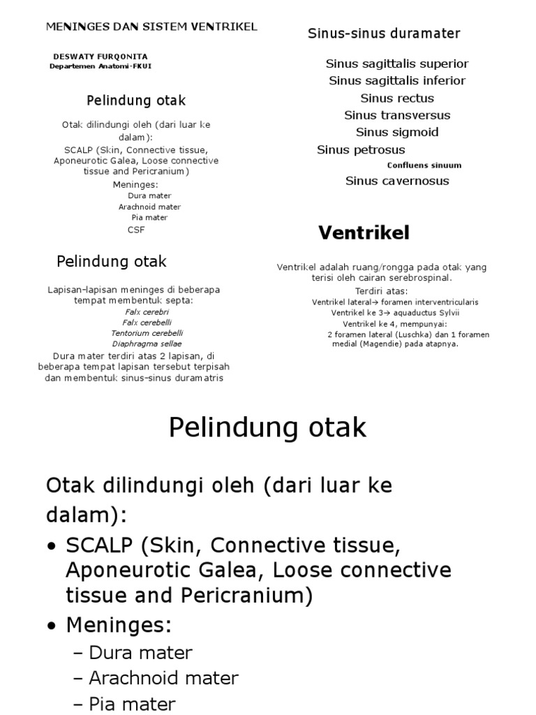 Sistem Saraf-Meninges Dan Lcs1 | PDF