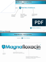 Magnafluxacin 1.7.09