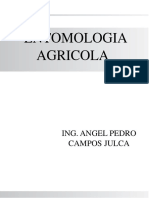 1.Curso de Entomología Agricola