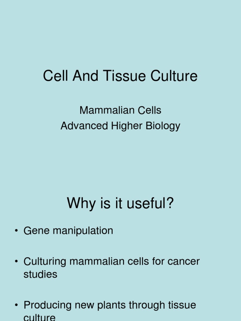 An Overview of Cell and Tissue Culture Techniques for Mammalian Cells