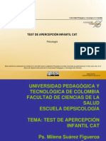 065_Temática Test de Apercepción Infantil.pdf