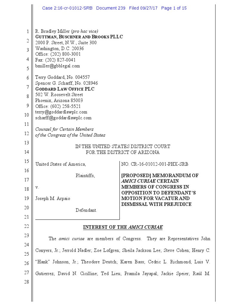 Sheriff Arpaio Criminal Misdemeanor Case: Amici Curiae Brief 30