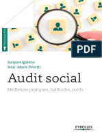 Audit Social