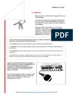 Crónica (Características) PDF